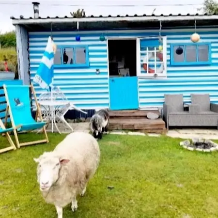 Treguth Glamping Unique Experience - Themed Huts