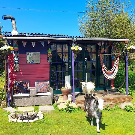 Treguth Glamping Unique Experience - Themed Huts Kemping *