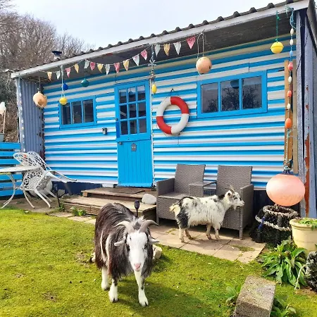 Treguth Glamping Unique Experience - Themed Huts