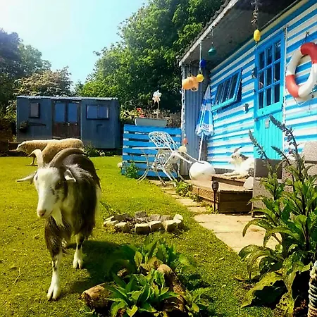 Treguth Glamping Unique Experience - Themed Huts