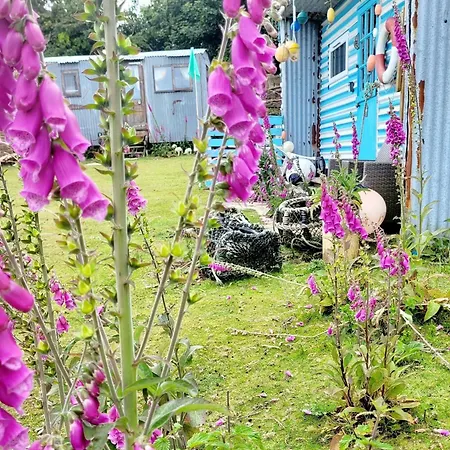 Kemping Treguth Glamping Unique Experience - Themed Huts Saint Day
