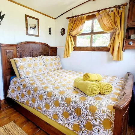 Treguth Glamping Unique Experience - Themed Huts Kemping