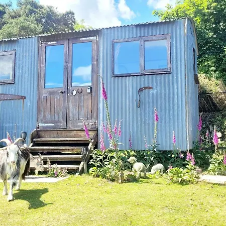 Treguth Glamping Unique Experience - Themed Huts