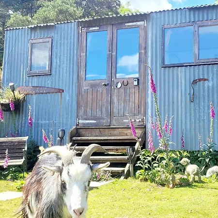 Treguth Glamping Unique Experience - Themed Huts * Saint Day